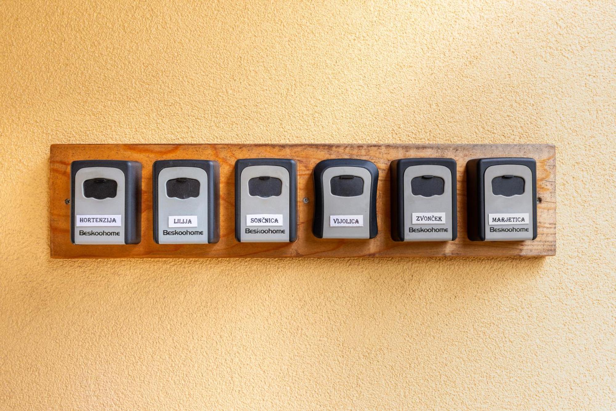 Apartments Orhideja トールミン エクステリア 写真